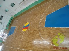篮球运动木地板效果图