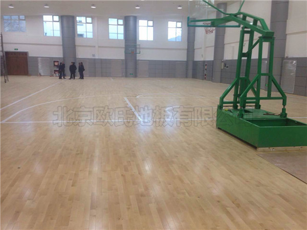  篮球馆运动木地板--中国人民银行玉树藏族自治州中心支行 