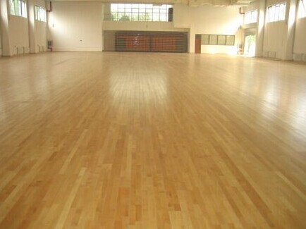 运动地板,运动木地板,室内运动木地板